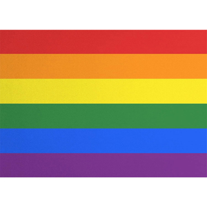 ฉากหลังแฮปปี้ไพรด์ ลายสายรุ้งหลากสีสัน ตกแต่งแบบมัดย้อม แนวฮิปปี้ยุค 60 ฉากหลังธีม LGBT ปาร์ตี้เกย์ไพรด์ แบนเนอร์พร้อมอุปกรณ์ประกอบฉากถ่ายรูป - Product Image 3