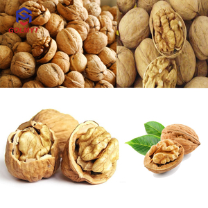 Pelapatate elettrico per mandorle e <span class=keywords><strong>nocciole</strong></span> sgusciatrice per noci/lavatrice per sbucciare - Product Image 6