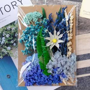 Materiale per Fiori Secchi Fai-da-Te, Eucalipto Essiccato Reale per Matrimoni, Candele Profumate, Resina, Sapone, Nail Art e Creazione di Gioielli - Product Image 5