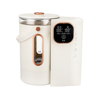 Bouilloire Électrique Isotherme à Écran Tactile pour Eau Chaude Instantanée, 2 Niveaux, pour Usage Domestique