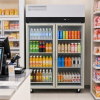 Refrigerador Comercial para Bebidas de Supermercado, con Termostato Mecánico, Puerta de Vidrio, Vitrina Exhibidora