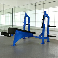 Équipement de fitness professionnel pour salle de sport, machines à charge libre en acier pour l'entraînement de force, presse pectorale et banc de musculation incliné