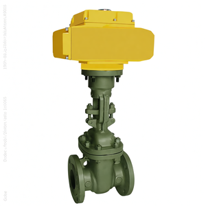 Vanne à boisseau à bride WCB à actionneur électrique multi-tours pour eau, huile et gaz, commande urgente COVNA, 2-1/2 pouces - Product Image 5