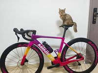 Vélo de route complet en fibre de carbone MINICE R1 700C, aérodynamique, câblage interne Di2, 24 vitesses, frein à disque électronique, roue ordinaire