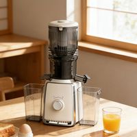 Extracteurs de jus électriques à mastication puissants de 500 W, à grande ouverture de 110 mm, personnalisés, pour fruits et légumes, presse à froid lente