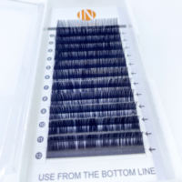 OEM Professional Lash Supplies Private Label Faux Vison Korean Individual Eyelash Extension