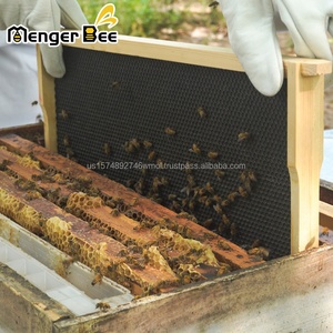 Nouvelle plaque de fondation en plastique pour apiculture, profondeur moyenne, avec alvéoles jaunes et noires, garantie 2 ans - Product Image 5