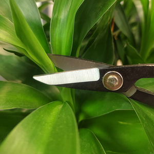 Manual Manganese Steel Pruning Scissors 190x43mm <strong>Bud</strong> <strong>Trimmer</strong> Aluminum Foil Bag Gardening Essentials Lightweight Design Black - Product Image 3