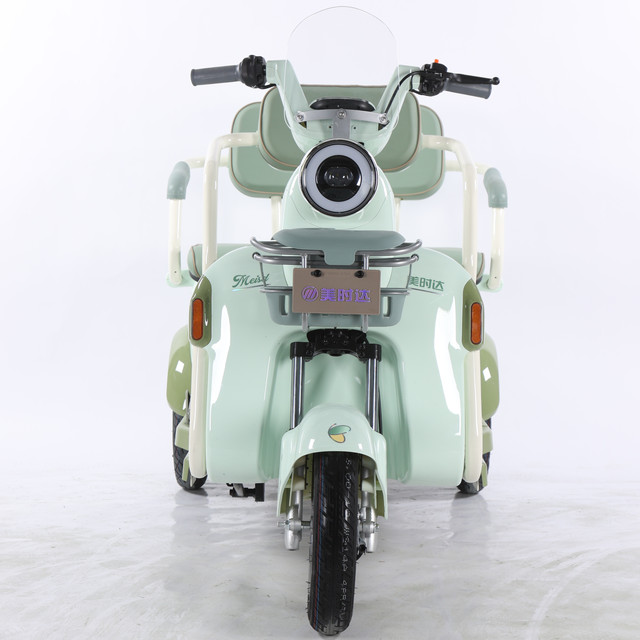 3 Speed Brushless Motor Electric Cargo Tricycle 48V 600W Lead Acid Battery 3 Wheels C20 Heavy Duty Carbon Steel Frame 25km/h