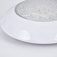 Lampu Kolam Renang Model Daun ABS dengan Peringkat IP68, Kontrol Warna RGB, Fluks Cahaya Tinggi 3600LM untuk Penggunaan Bawah Air Lanskap
