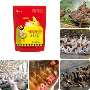 Médicaments vétérinaires pour volailles, compléments alimentaires, stimulateur de ponte pour poules pondeuses, acides aminés et enzymes de qualité - Product Image 3