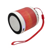 Haut-parleur portable d'extérieur étanche avec subwoofer sans fil et LED RGB rechargeable pour les voyages et les fêtes