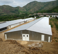 Bâtiment industriel préfabriqué en métal, structure en acier, hangar pour atelier, remise, abri pour voitures, poulailler/cabane à canards/vaches/porcs