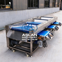 Cranberry sorteermachine op basis van formaat, fruit sorteermachine met gaasband