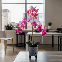 Arrangement de papillon orchidée dans un pot de ciment Pièce maîtresse de fleur Phalaenopsis Plantes artificielles et verdure