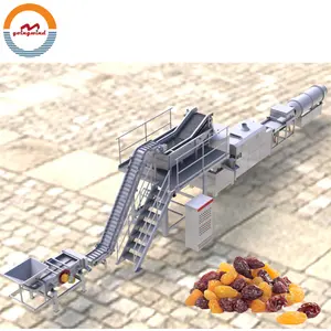Automatic commercial raisin production line auto industrial raisins washing drying machine wash dehydrator cheap price for sale