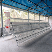 Cage d'élevage avicole pour poules pondeuses, 4 niveaux, 3 niveaux, pour poulets de basse-cour