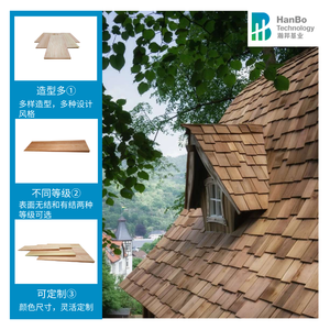 Rivestimenti a parete laterale in scandole a basso costo che sembrano rivestimenti in scandole di cedro - Product Image 5