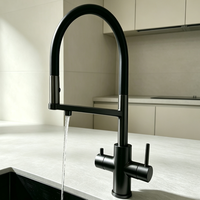 Robinet de cuisine populaire 4-en-1 à ressort, pour eau bouillante instantanée et eau froide