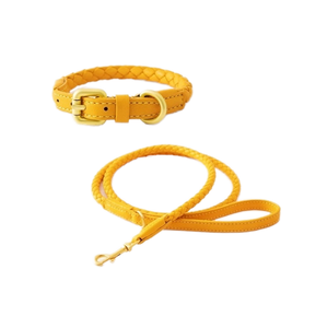 Collar de Cuero para Mascotas <span class=keywords><strong>2026</strong></span> + Correa Personalizable en Varios Colores, Correa de Cuero PU Trenzado con Patrón Animal y Adorno de Pelo - Product Image 1