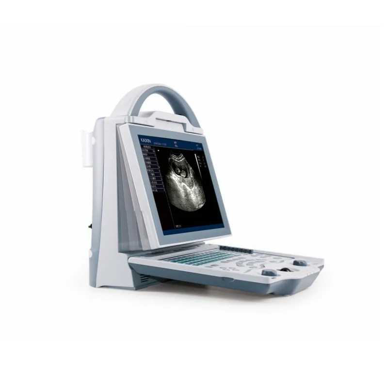 Digital laptop test veterinary sonography machine portable ultrasound for pregnancy