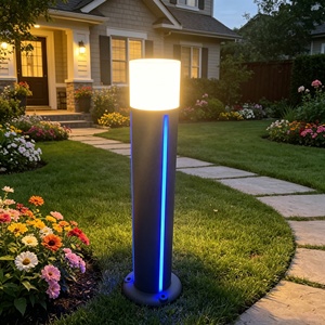 Lampes de jardin LED modernes minimalistes pour l'extérieur, résistantes à l'eau IP65, H80CM, éclairage latéral multicolore, décoration de jardin, garantie 5 ans - Product Image 1