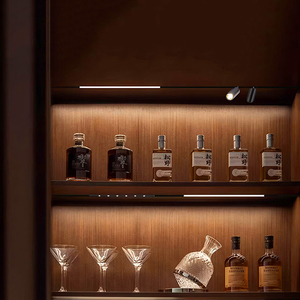 Bề mặt gắn kết dẫn ánh sáng theo dõi hệ thống <span class=keywords><strong>12V</strong></span> 24V Mini dẫn ánh sáng tại chỗ cho đồ trang sức giới thiệu Tủ rượu - Product Image 2