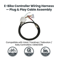 Arnés de Cableado para Robot con Servomotor Resistente a Choques Térmicos con Cable de Programación PLC ASD A2 para Línea de Producción Automatizada