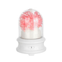 Diffuseur d'arômes et humidificateur 2 en 1 avec fleur préservée et veilleuse colorée pour la maison, la chambre et le bureau