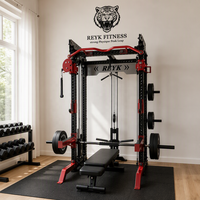 Machine multifonctionnelle intégrée avec barre de traction haute-basse, barre de redressement, rack de squat, barre de dips et poulie à charge de disques, à structure complète