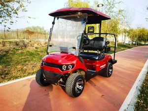 Carrito de Golf Eléctrico BD-DL Deluxe Personalizado de 2 Plazas con Batería, Carrito de Golf con Caja Refrigeradora, Portaequipajes, Certificación CE, GCC, EEC - Product Image 6