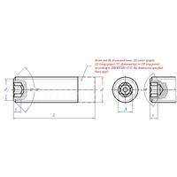 Vis de réglage Torx plates/coupelles en acier inoxydable 304 DIN34827, vis d'arrêt sans tête M3 M4 M5 M6 M8 M10 M12 M16 M20 M24