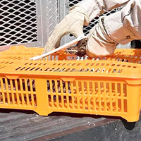 YYC Plastique Volaille Transporteur Poussin Cage Caille Transport Caisse pour Pigeon Poussin