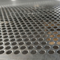 Plaques métalliques perforées en acier inoxydable 316, panneaux à trous décalés pour plaques d'électrodes de batteries industrielles et cellules énergétiques