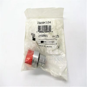 ZB2BK124 nouveau contrôleur de programmation PLC d'automatisation industrielle d'entrepôt prêt d'origine - Product Image 1