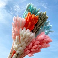 Bunga Pampas Kering Berkualitas Tinggi Terlaris, Rumput Permata untuk Dekorasi Pernikahan, Rumah, Natal, Imlek, dan Tahun Baru