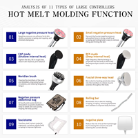 Controlador de Temperatura Vertical, Eliminador de Arrugas para Rostro y Cuerpo, Reafirmante, Adelgazante, Control Táctil