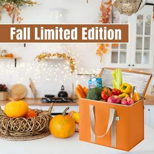 VENO Confezione da 2 Borse Termiche Isolate in PP Pieghevoli Resistenti Capacità 22 kg Chiusura con Cerniera per Consegna Cibo e Spesa (Autunno) - Product Image 2