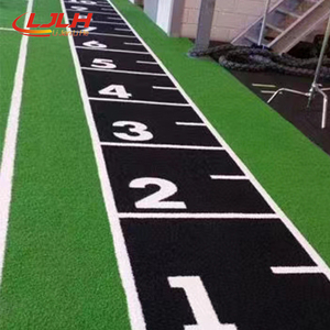 Gym Flooring Turf Pull Sled Turf Meter Marked Gym <strong>Artificial</strong> <strong>Grass</strong> Sports <strong>Artificial</strong> <strong>Grass</strong> - Product Image 4
