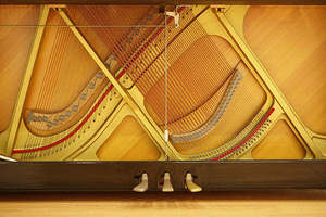 Nhật Bản Nhạc Cụ Âm Nhạc Chuyên Nghiệp Yamaha Đàn Piano Cho Trẻ Em - Product Image 5