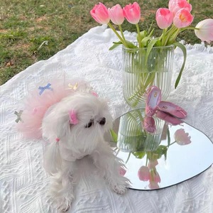 Vestito in Tulle per Animali Domestici, Senza Maniche, Stile Balletto con Bretelle, per <span class=keywords><strong>Cani</strong></span> e Gatti <span class=keywords><strong>di</strong></span> Piccola Taglia, Gonna Principessa con Fiocchi Colorati, Abbigliamento per <span class=keywords><strong>Cani</strong></span> - Product Image 4