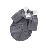 Nouveaux vêtements pour animaux de compagnie, costume de mariage pour chien et chat, automne-hiver
