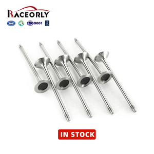 Nhà Sản Xuất Top Bán Tự Động Bộ Phận Van Intake & Xả Động Cơ Van 11347598273 11347583780 Xả Van Cho BMW N55 - Product Image 2