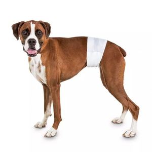Couches pour chiens en gros – Couches écologiques super absorbantes pour animaux de compagnie, 4 tailles, pour chiens mâles et femelles - Product Image 6