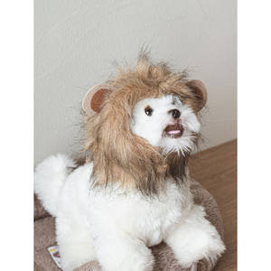 Cappello Lat per animali domestici eleganti vestiti per animali domestici - Product Image 1