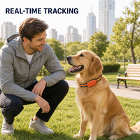 Traceur GPS pour animaux de compagnie G51, suivi de localisation en temps réel, historique de 90 jours, géorepérage, prise en charge OEM/ODM