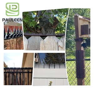 Diferentes tamaños Anti Bird Spikes Control de plagas Trampas para pájaros Picos de <span class=keywords><strong>palomas</strong></span> de plástico con más espinas largas para suministros de jardín al aire libre - Product Image 3