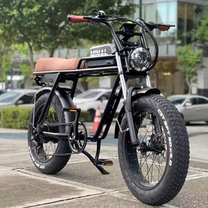 Bicicleta Eléctrica de Montaña con Llantas Gruesas de 20 Pulgadas, Motor Trasero de 48 V, Cuadro de Aleación de Aluminio, 7 Velocidades - Product Image 2