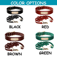 Vente en gros collier de chien de couleur unie haut de gamme personnalisé pour chat et chien avec rivets dorés cool et accessoires pour animaux de compagnie