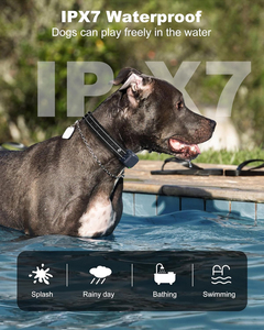 5-120lbs için uzaktan ile köpek şok tasması 3300Ft köpek <span class=keywords><strong>e</strong></span>ğitim yaka küçük orta büyük köpekler şarj edilebilir su geçirmez <span class=keywords><strong>e</strong></span> yaka - Product Image 2